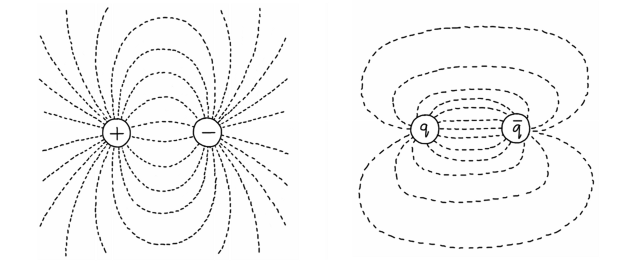 Electric and gluonic field lines